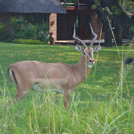 Kruger Park Lodge - Golf Safari Sa Hazyview Extérieur photo