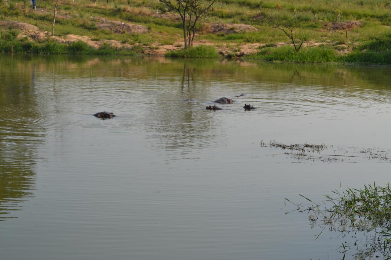 Kruger Park Lodge - Golf Safari Sa Hazyview Extérieur photo