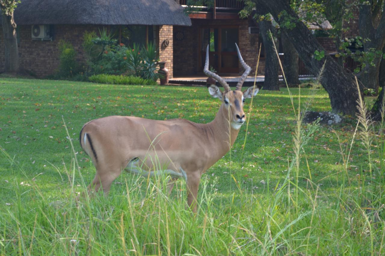 Kruger Park Lodge - Golf Safari Sa Hazyview Extérieur photo