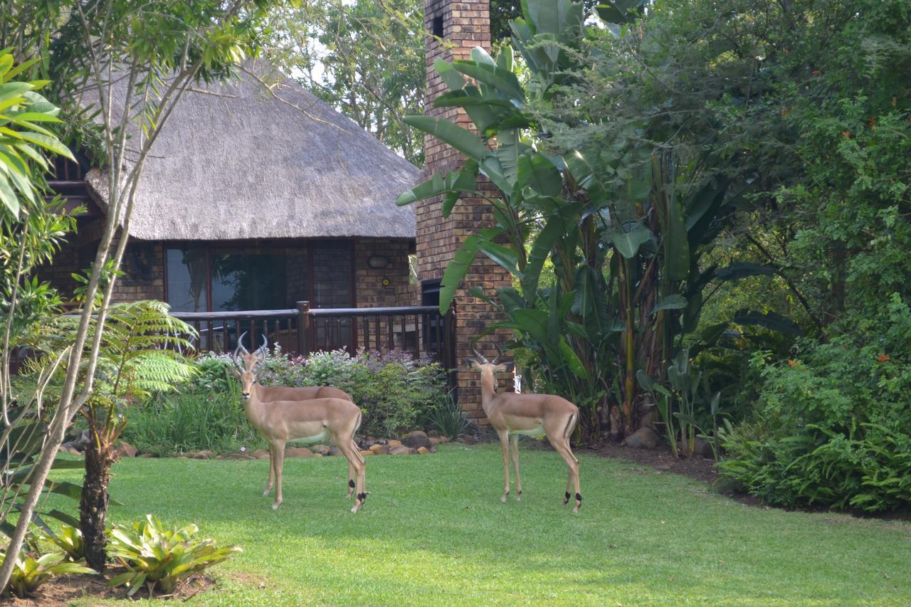 Kruger Park Lodge - Golf Safari Sa Hazyview Extérieur photo