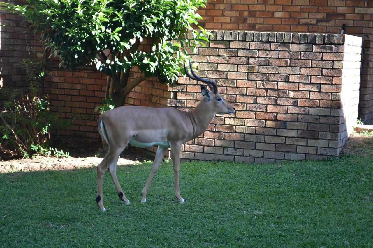 Kruger Park Lodge - Golf Safari Sa Hazyview Extérieur photo